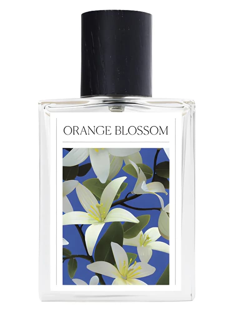Orange Blossom The 7 Virtues