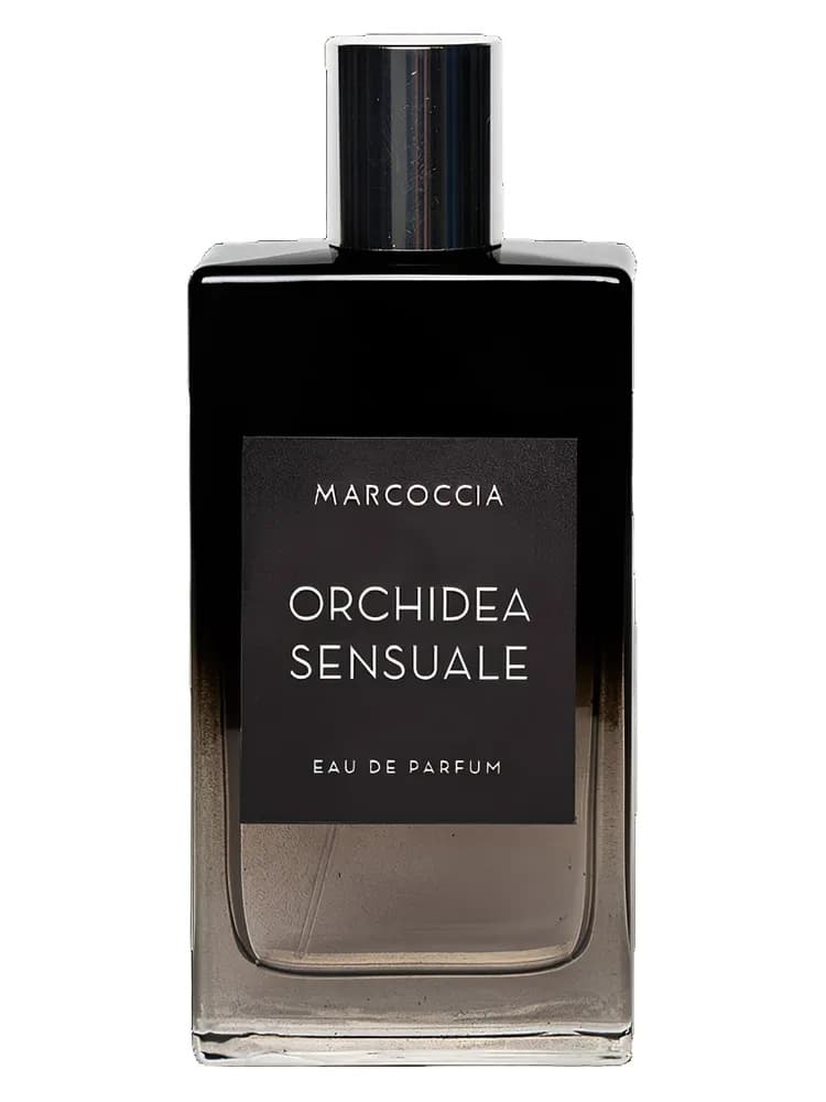 Orchidea Sensuale