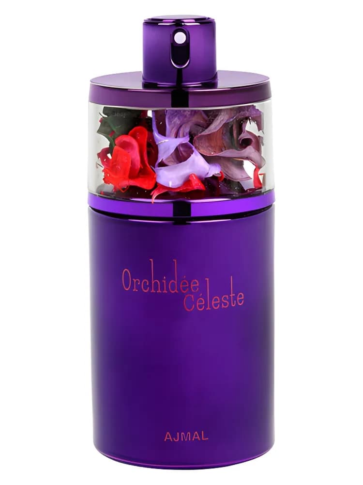 Orchidée Céleste