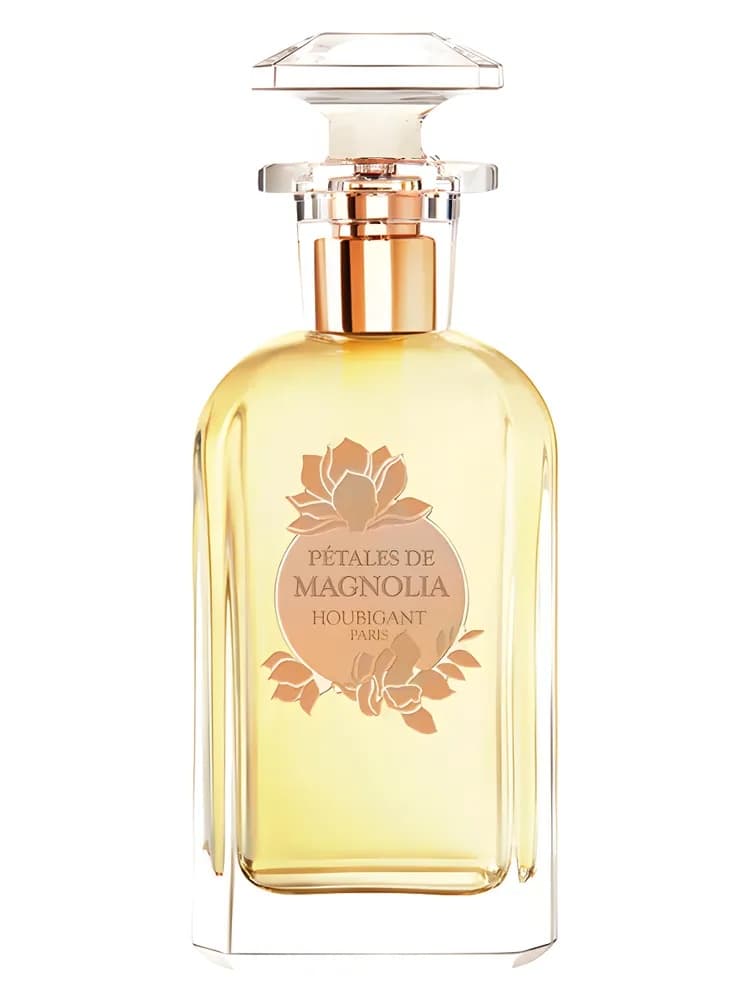 Pétales De Magnolia