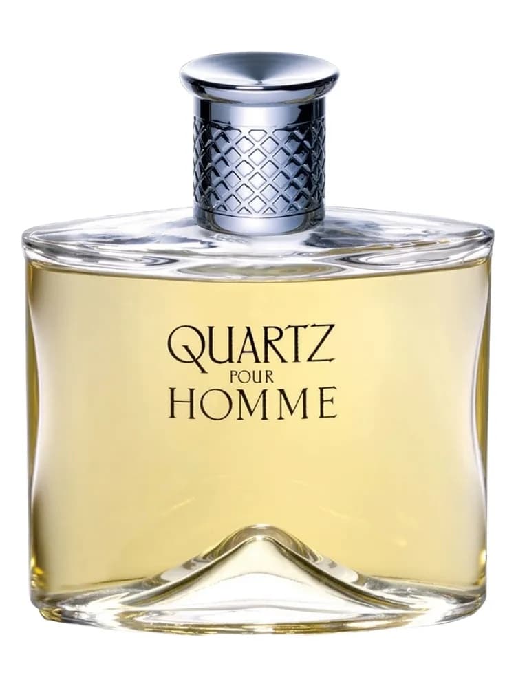 Quartz Silver Pour Homme