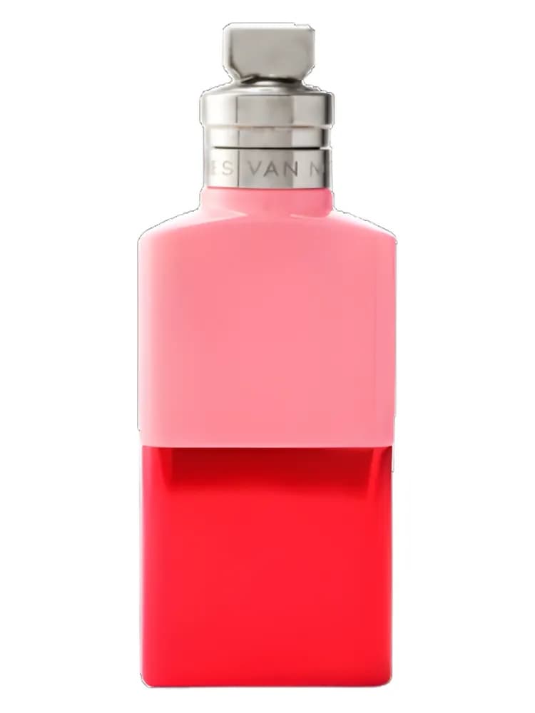 Raving Rose