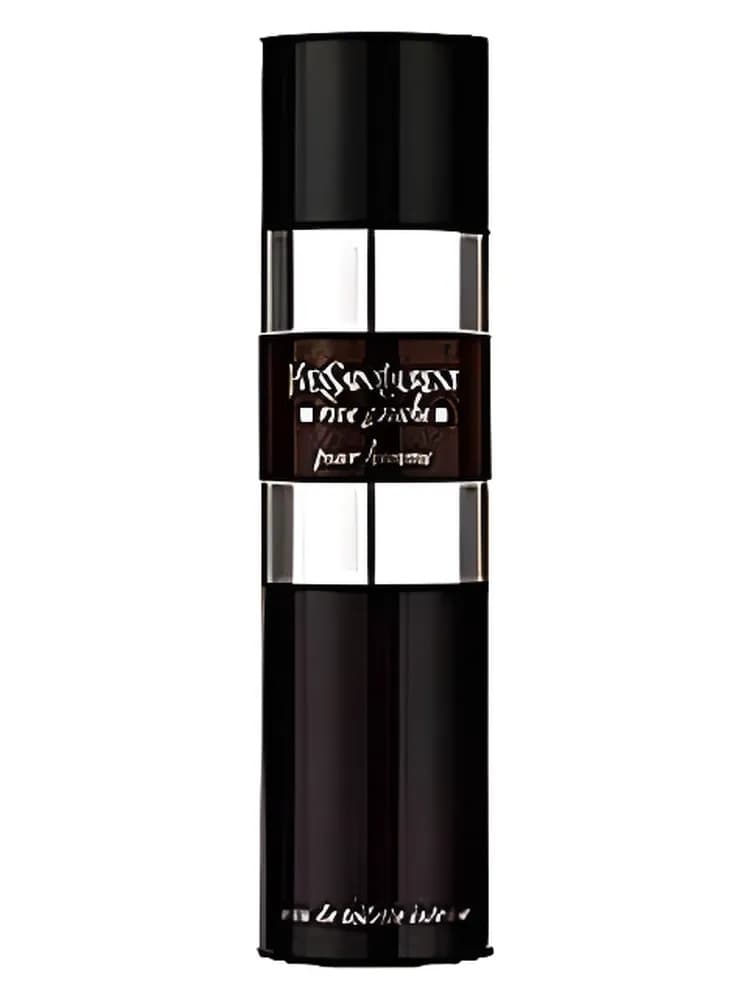 Rive Gauche Pour Homme Intense