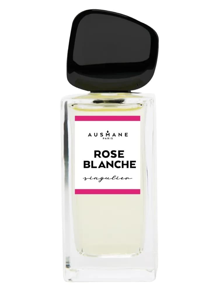 Rose Blanche