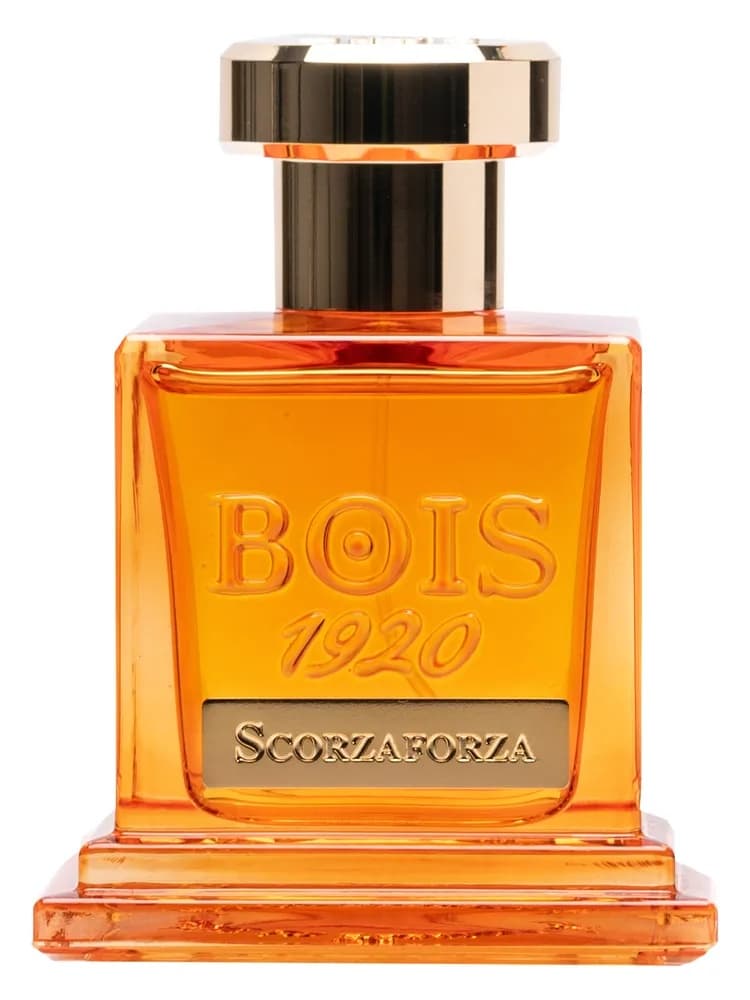 Scorzaforza