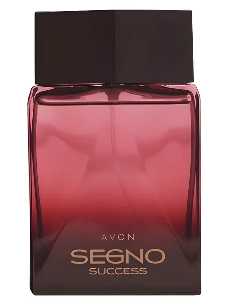 Segno Success