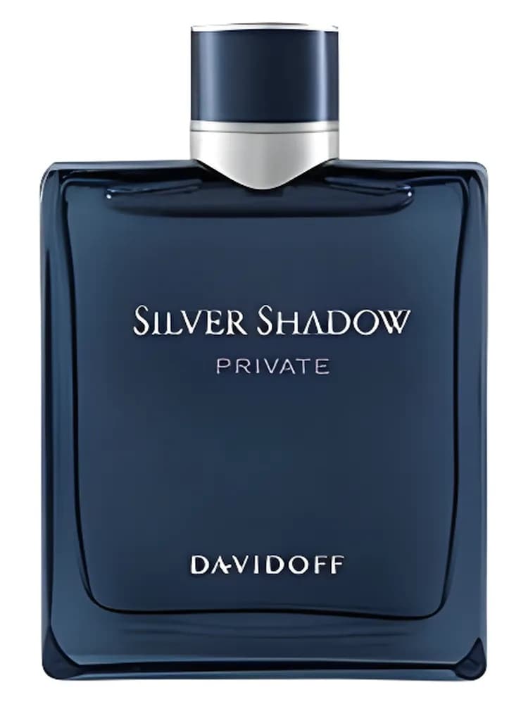 Silver Shadow Private