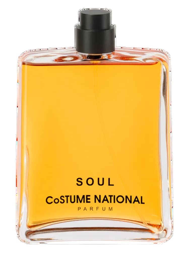 Soul Costume National