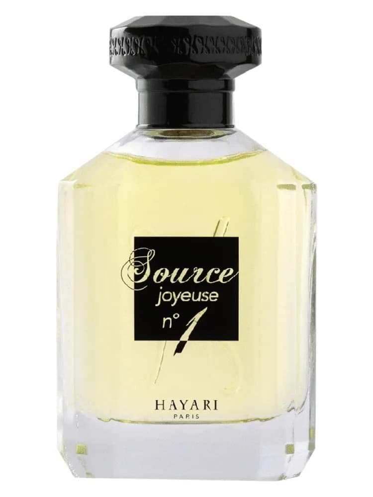 Source Joyeuse Nº 1