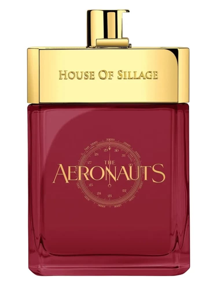 The Aeronauts 2020
