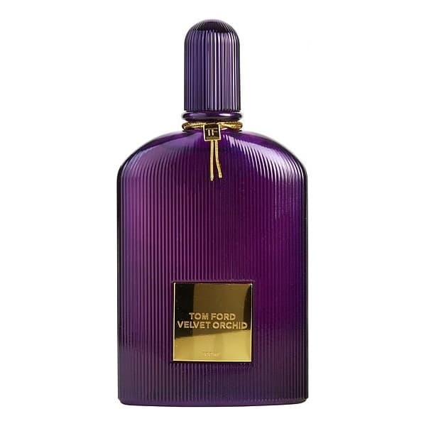 Catwalk Velvet Orchid