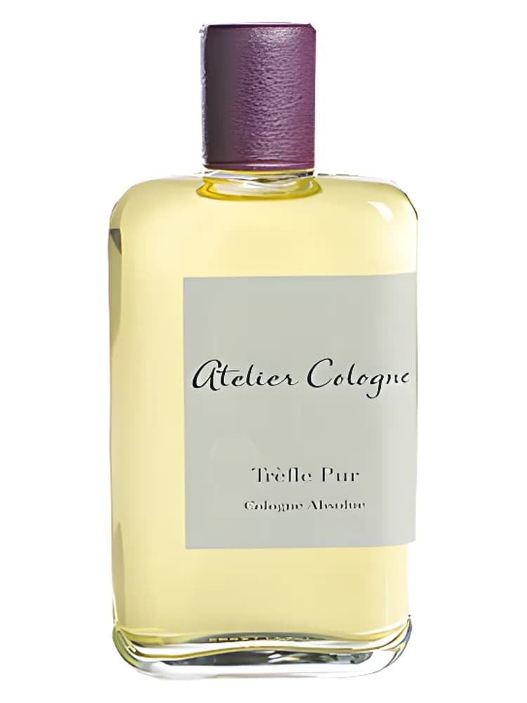 Trèfle Pur