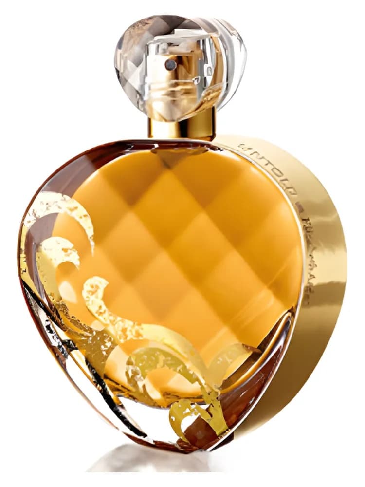 Untold Absolu