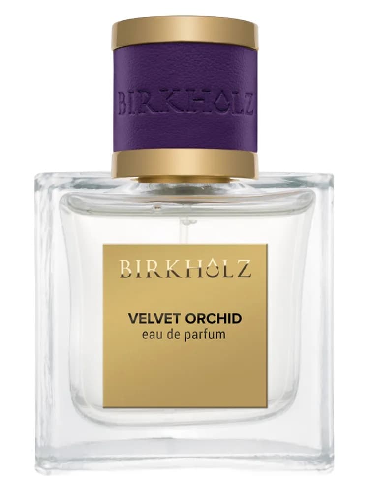 Velvet Orchid