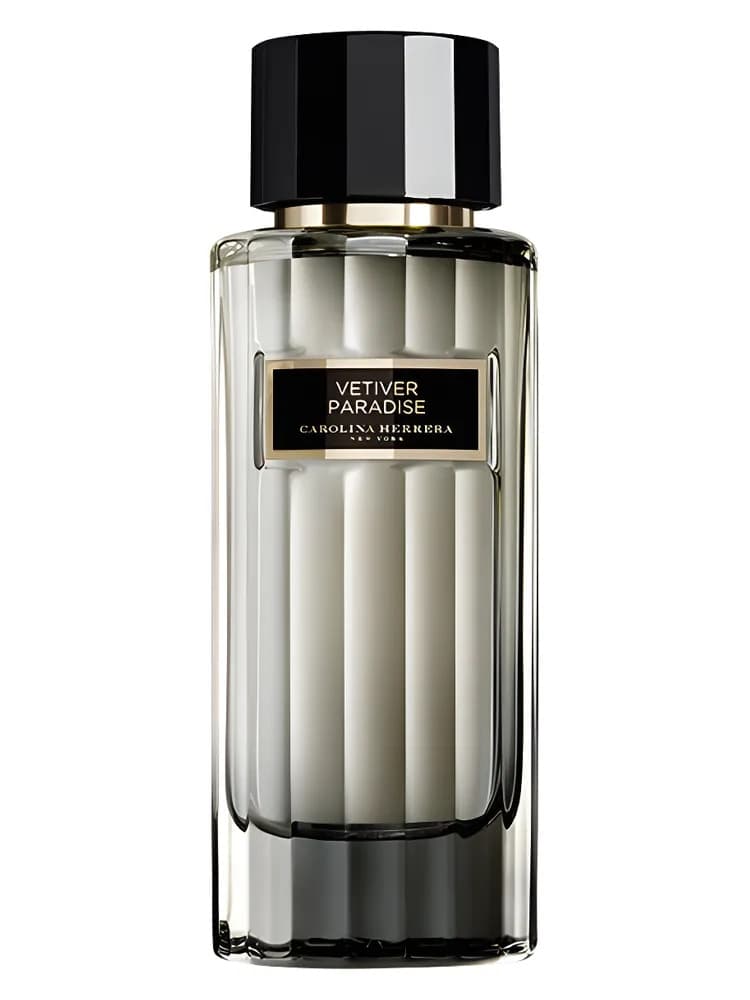 Vetiver Paradise