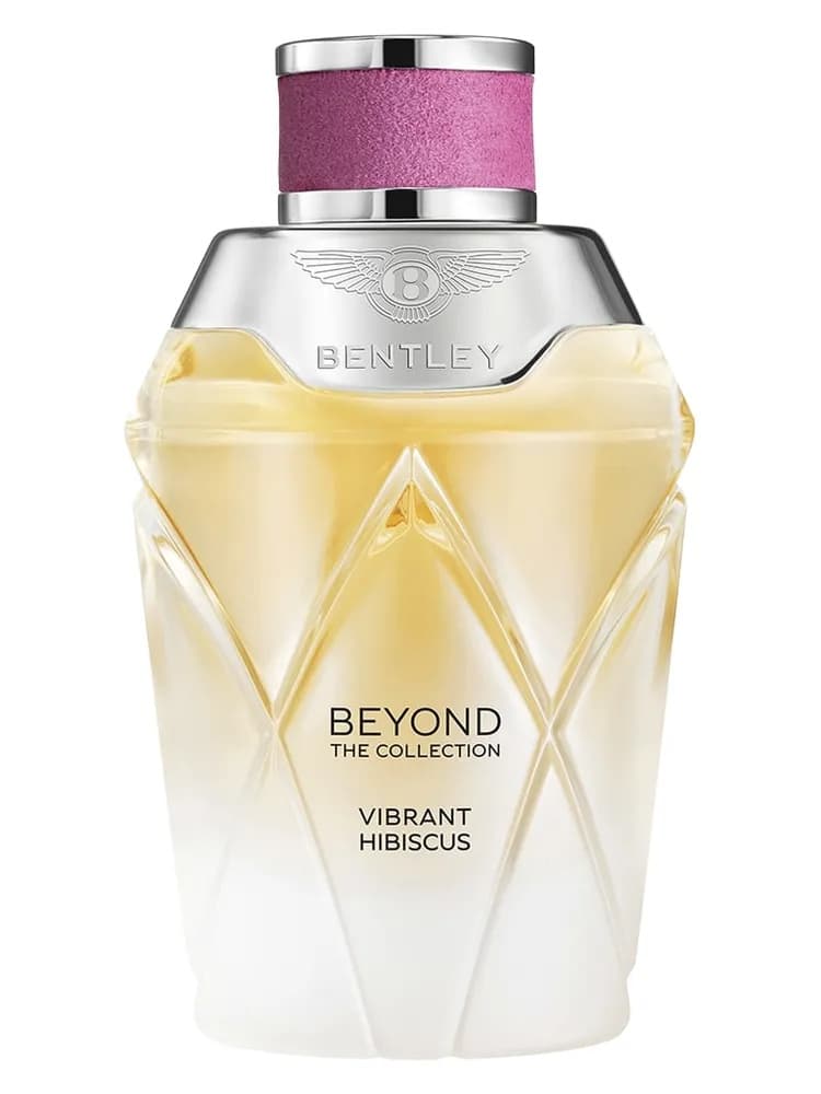 Beyond Vibrant Hibiscus