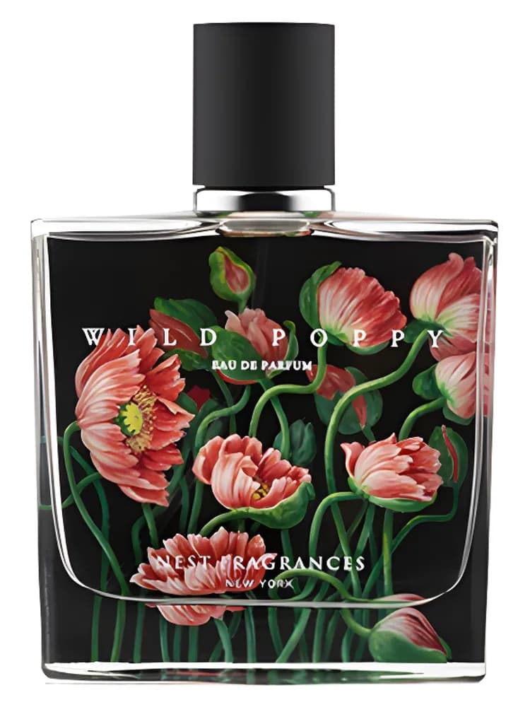 Wild Poppy