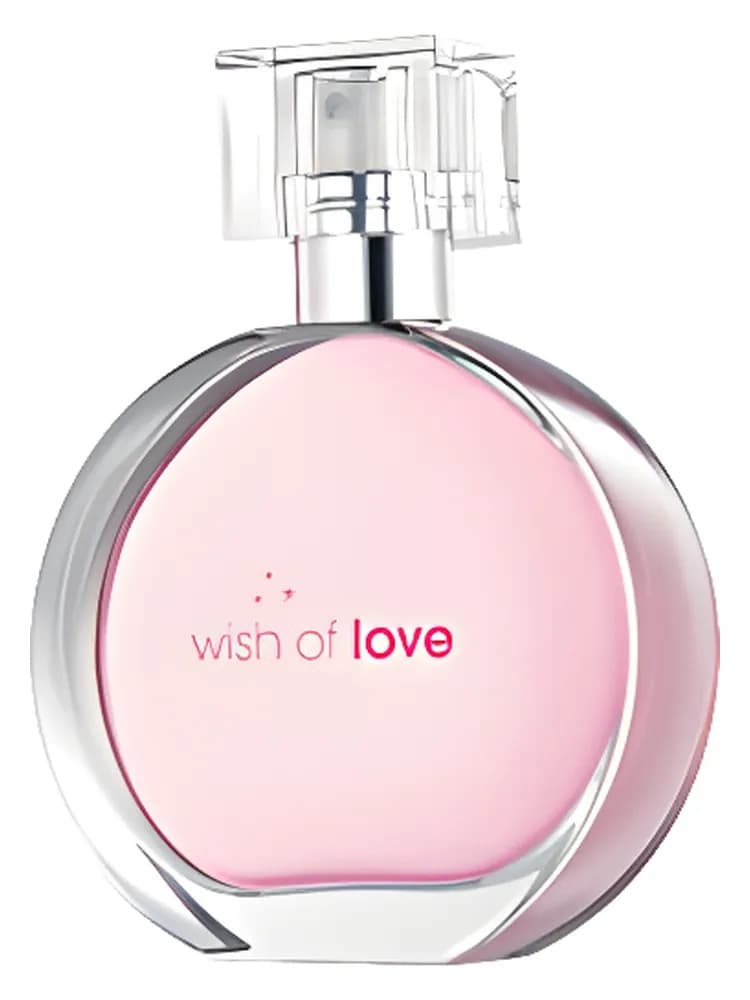Wish Of Love