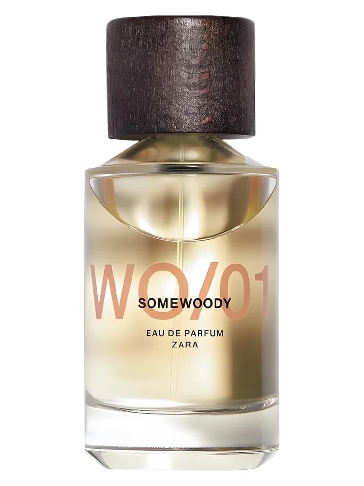 WO/01 Somewoody
