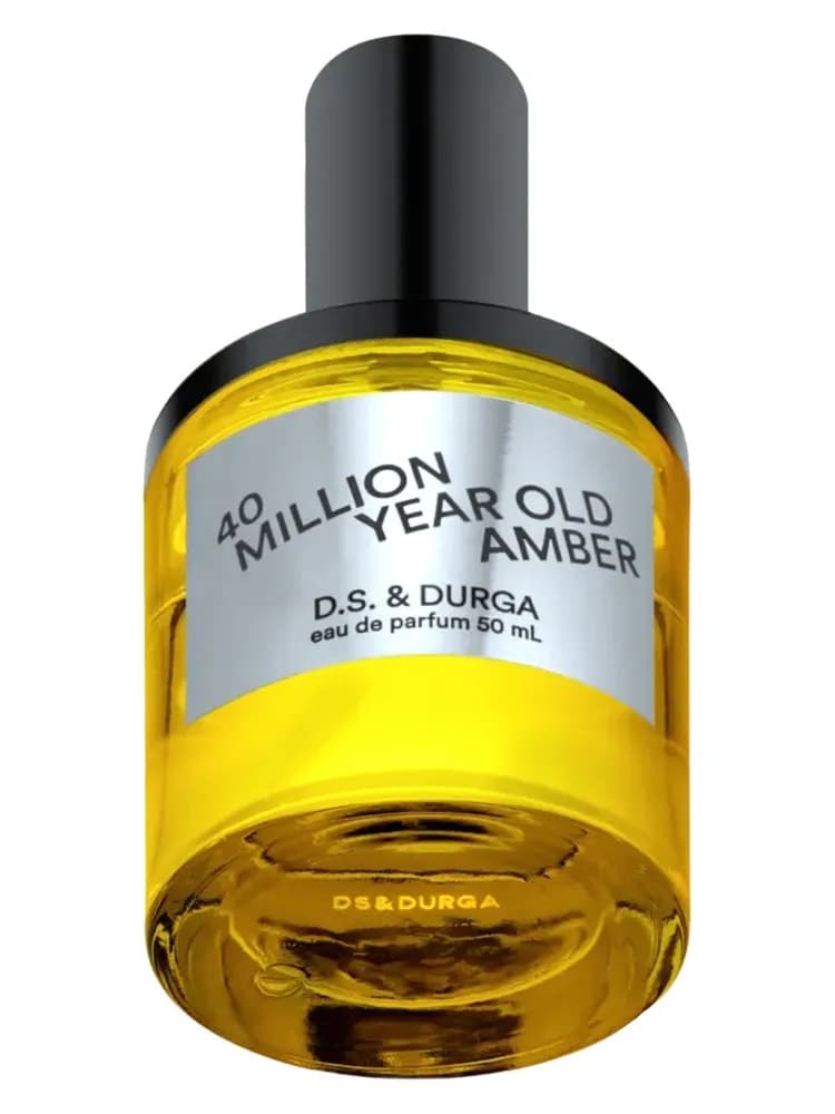 40 Million Year Old Amber 2023