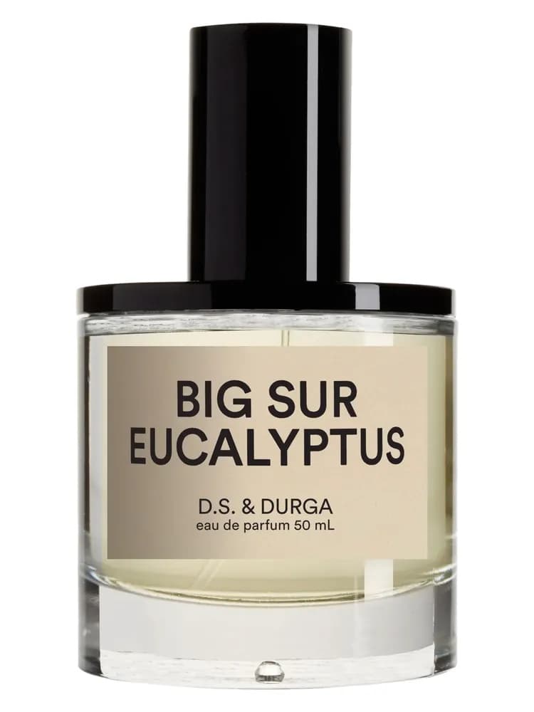 Big Sur Eucalyptus 2023