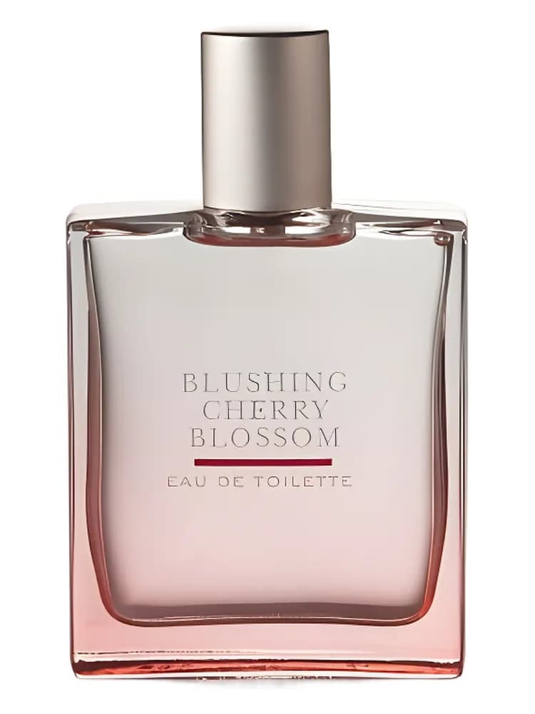 Blushing Cherry Blossom