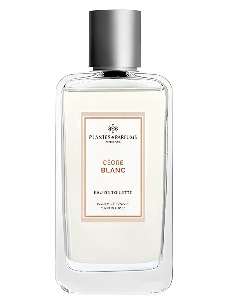 Cèdre Blanc