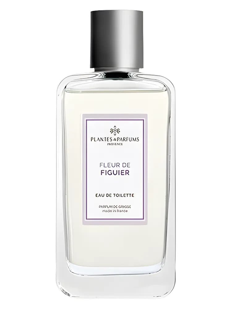 Fleur De Figuier Plantes & Parfums