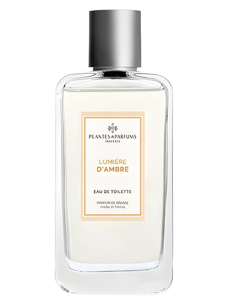 Lumière D’Ambre