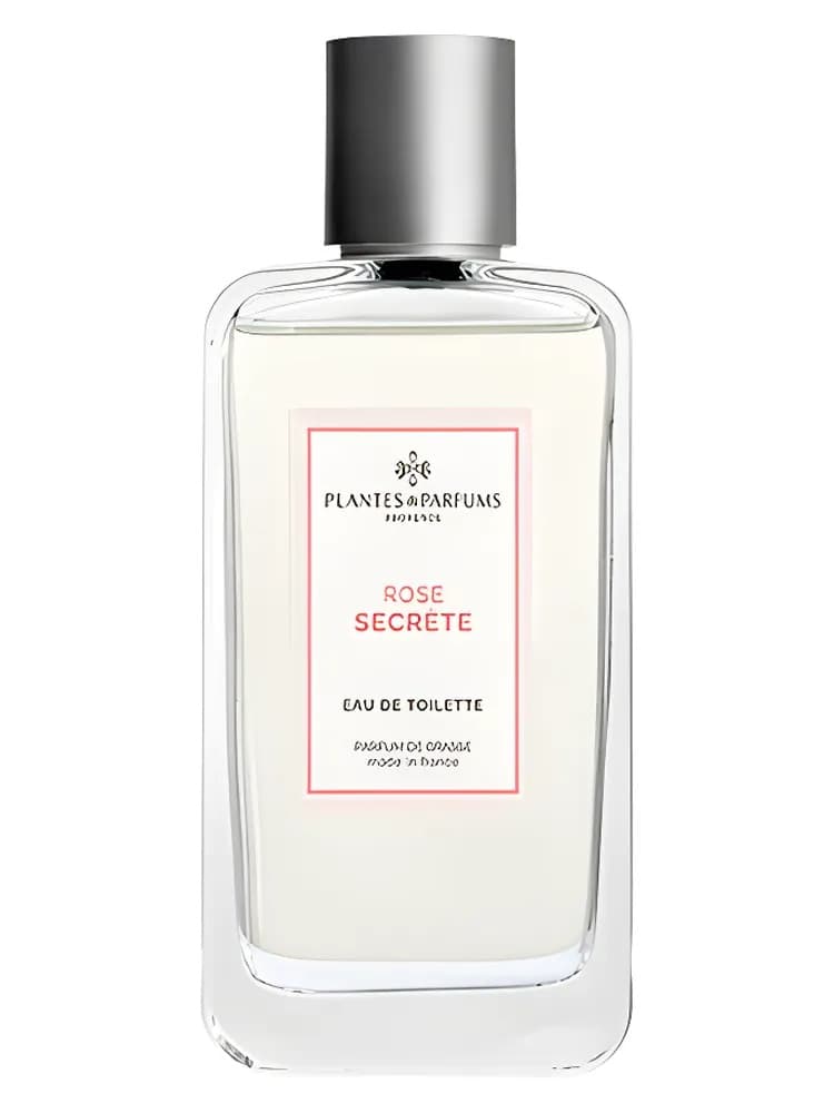 Rose Secrète