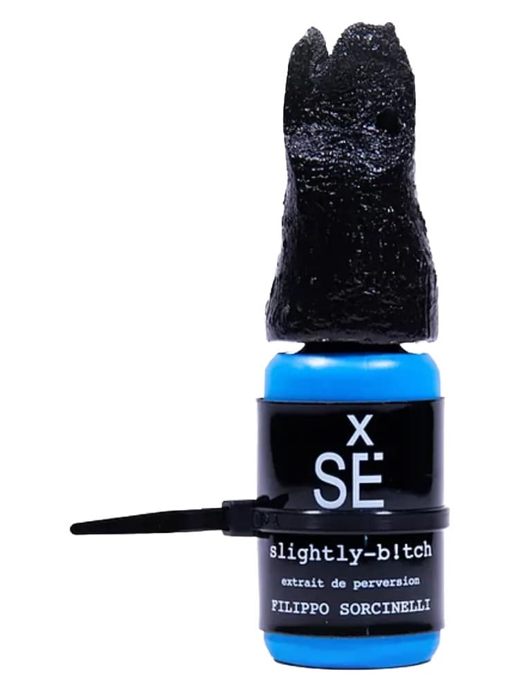 X Sé : Slightly-B!Tch