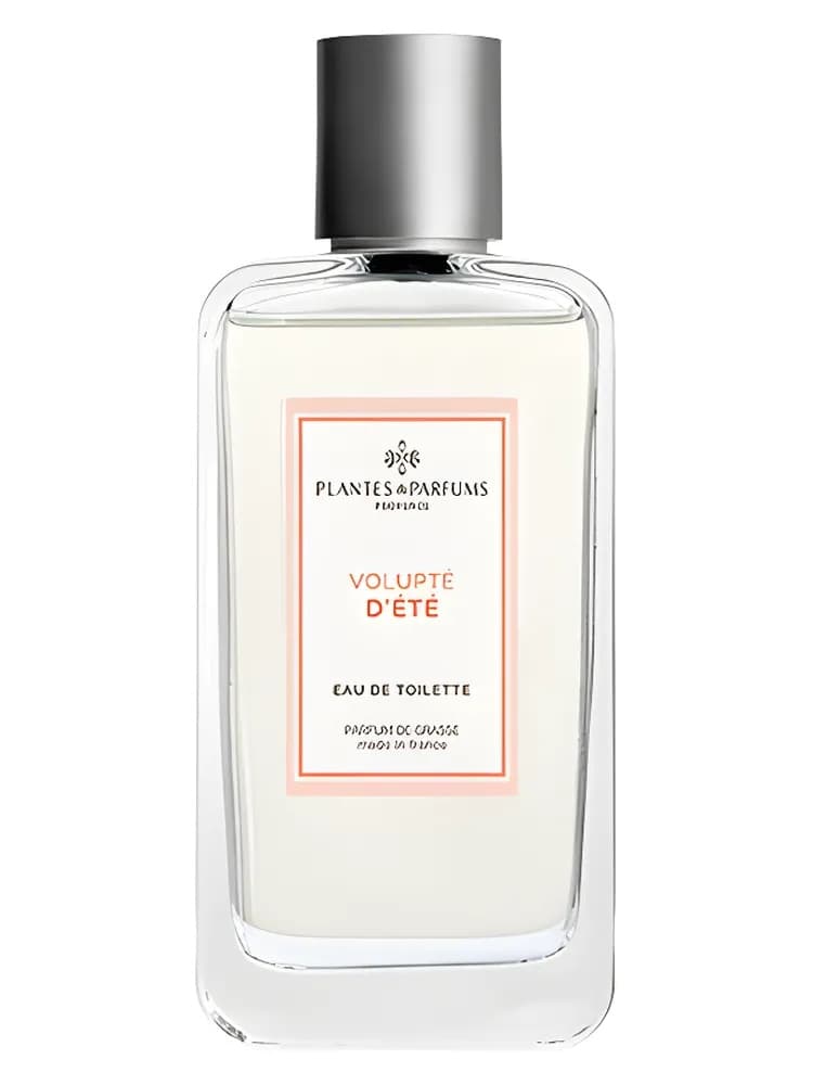 Volupté D’Été