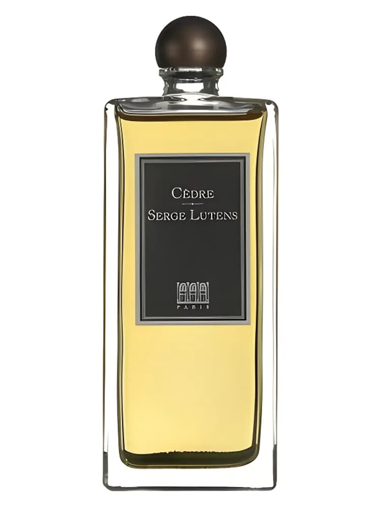 Cèdre