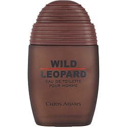 Wild Leopard