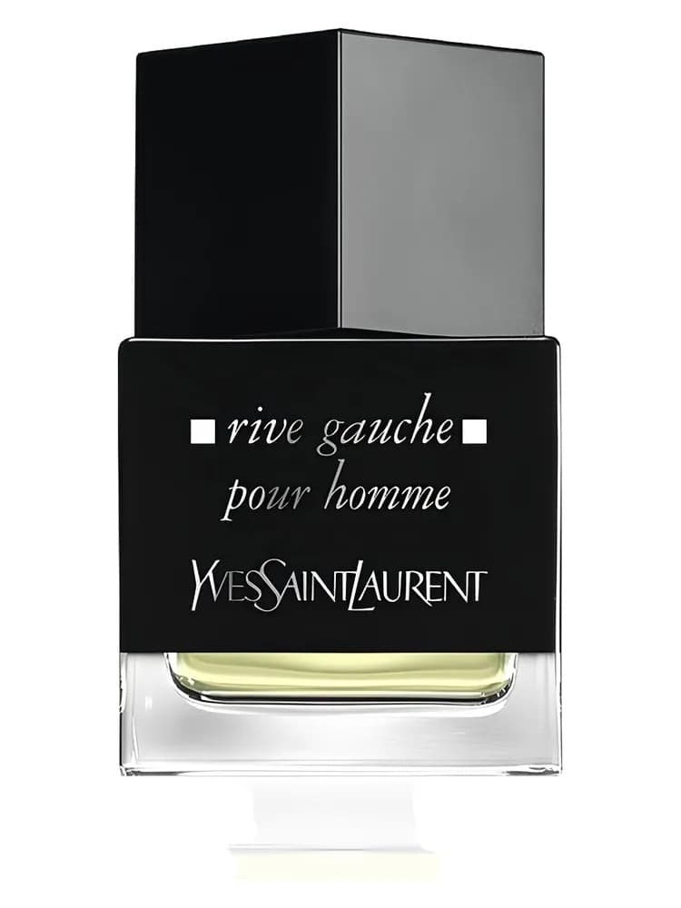 Rive Gauche Pour Homme : La Collection