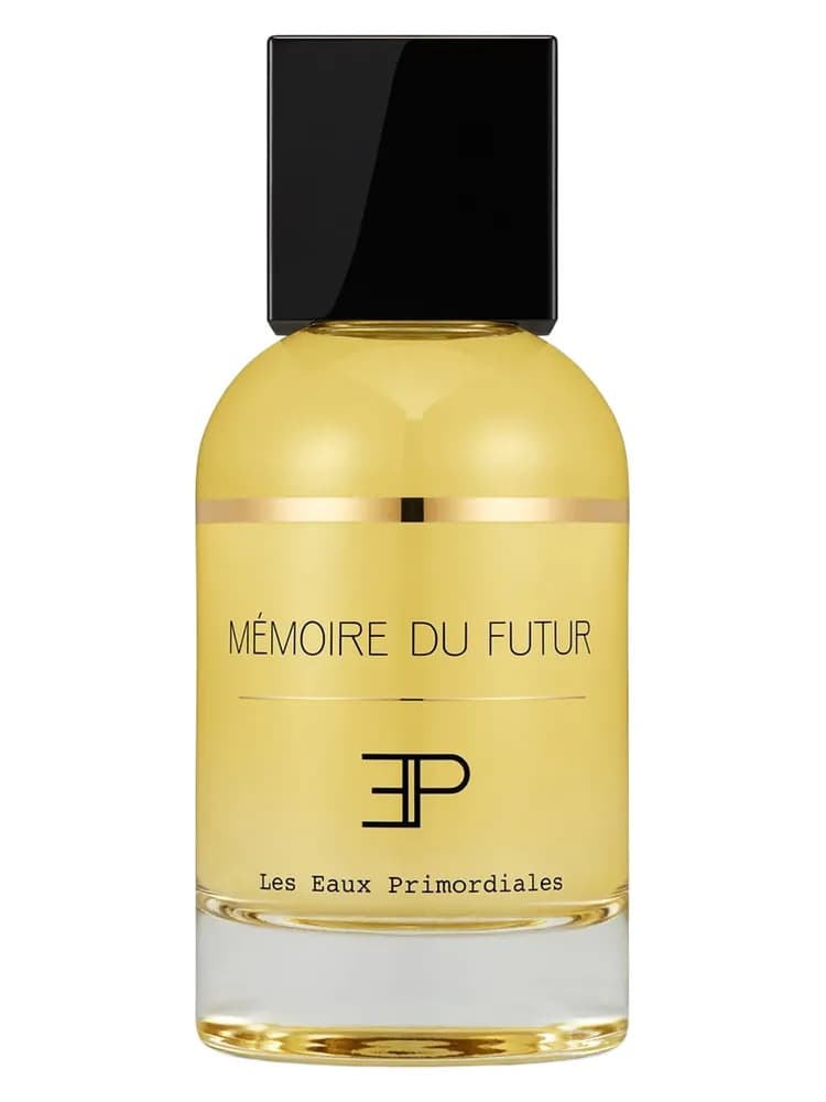 Mémoire Du Futur