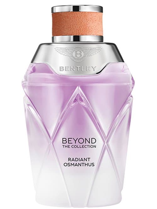 Beyond Radiant Osmanthus