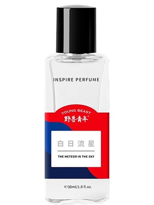 The Meteor In The Sky