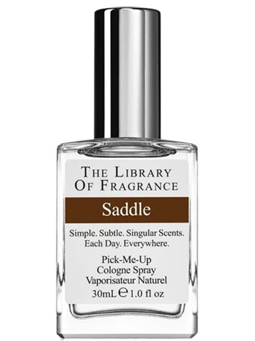 Saddle