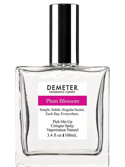 Plum Blossom