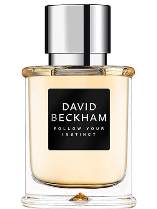 David Beckham Follow Your Instinct 2019