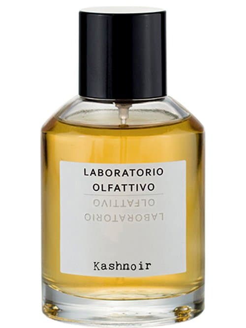 Kashnoir