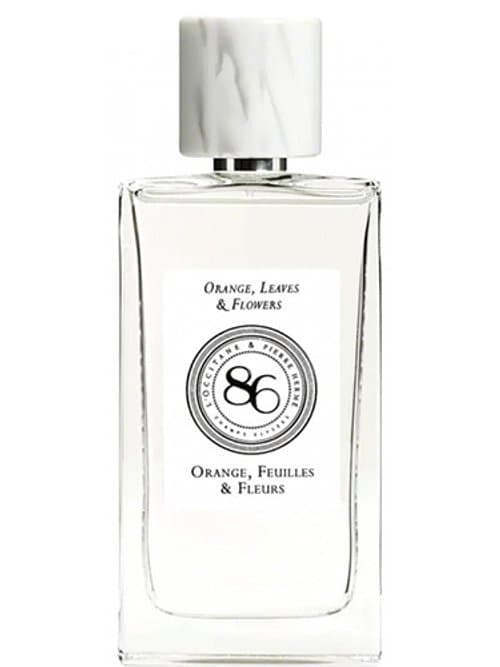 Orange, Feuilles & Fleurs