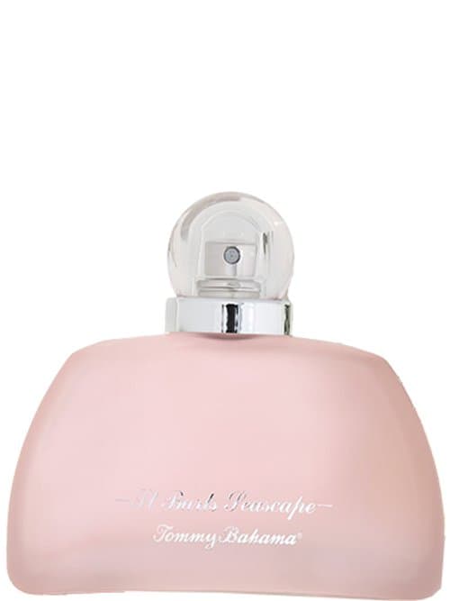 St Barts Seascape Women