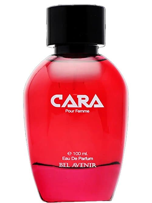 Cara