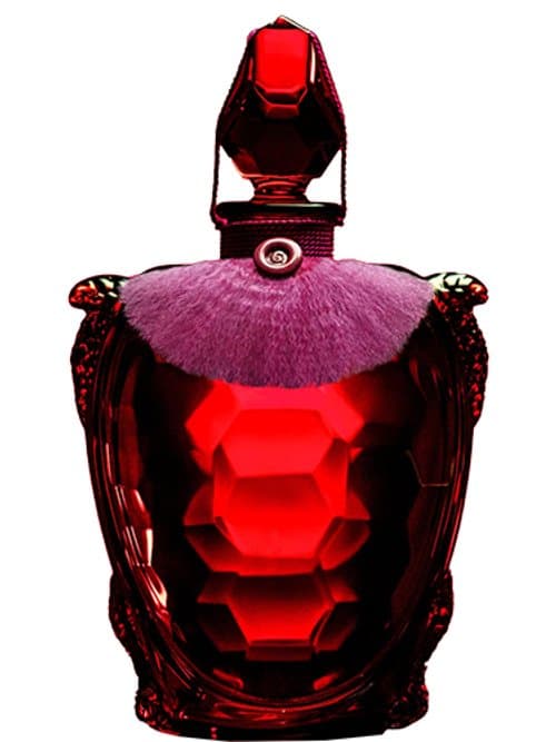 Flacon Tortue Red Edition By Baccarat 2024