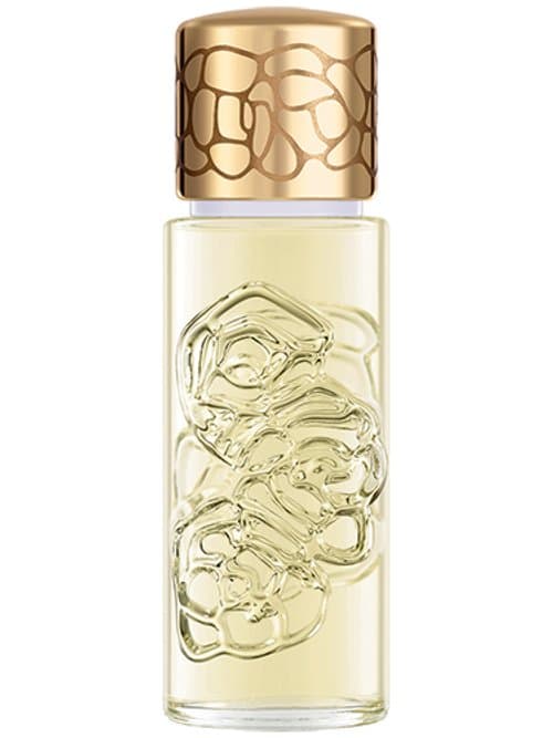 Quelques Fleurs Jardin Secret