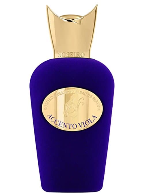 Accento Viola