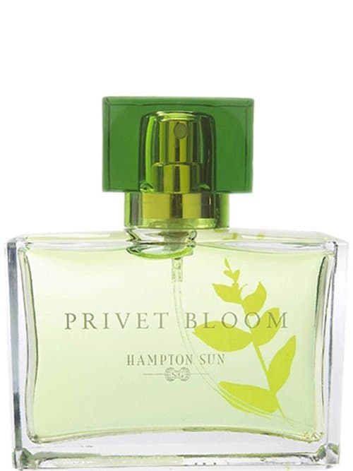 Pure Nautica Discovery