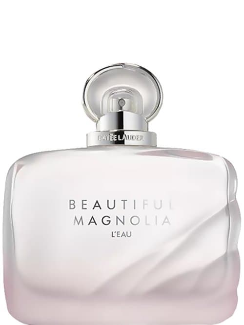 Beautiful Magnolia L'Eau